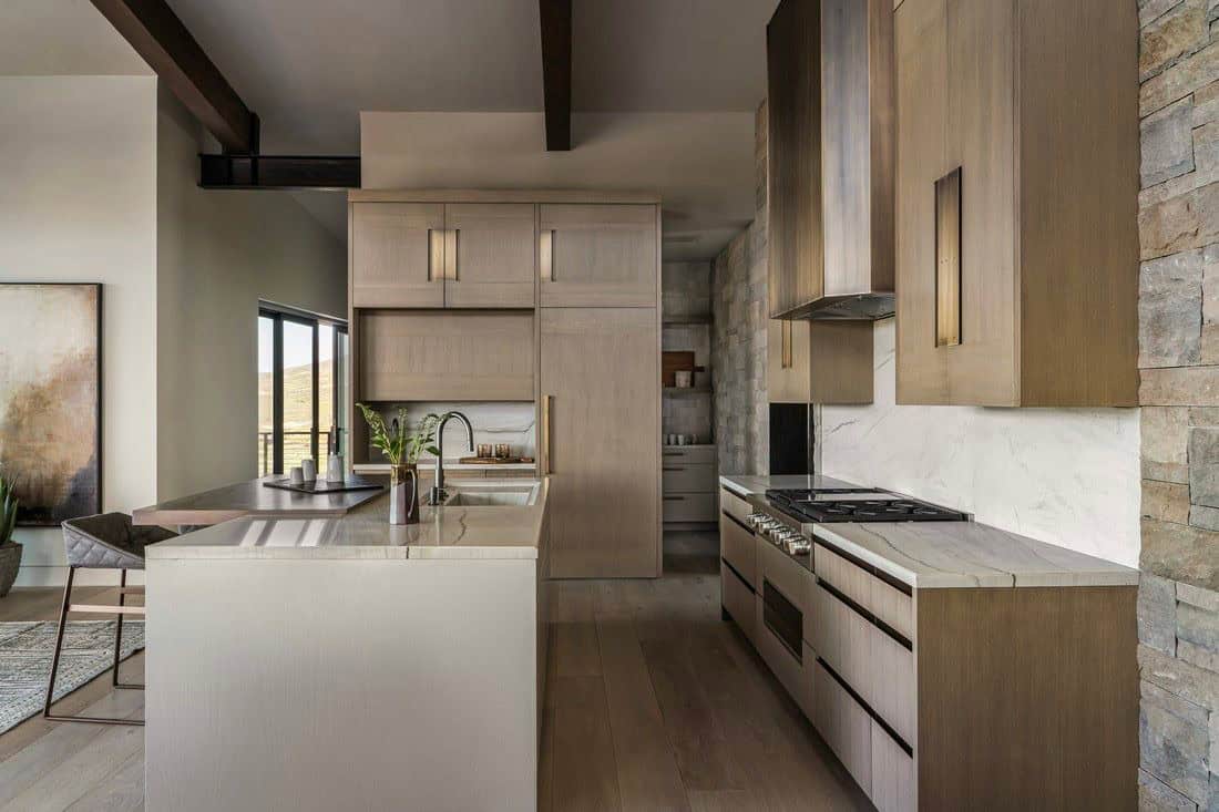 organic modern kitchen