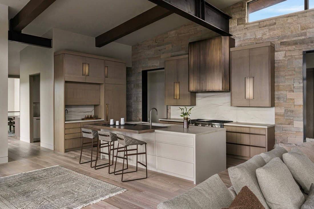 organic modern kitchen