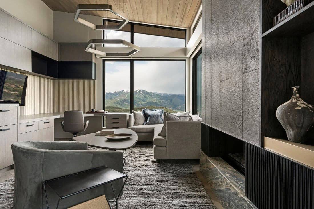 organic modern home office