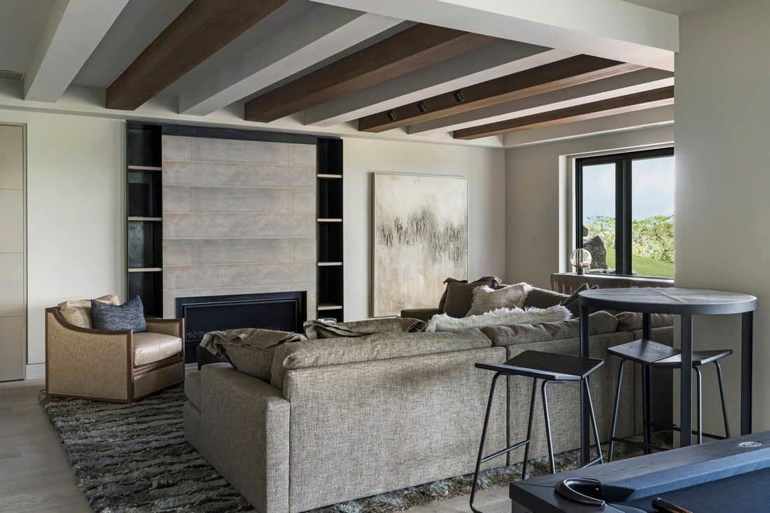 organic modern lower level family room with a fireplace