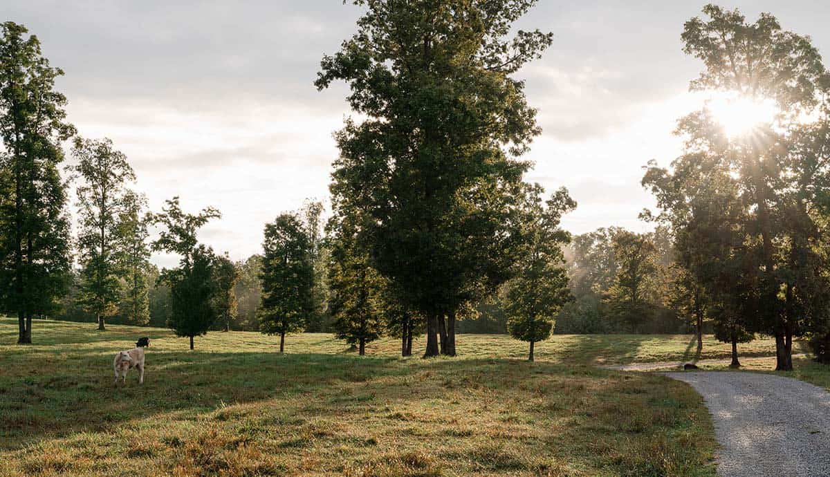 farm house landscape