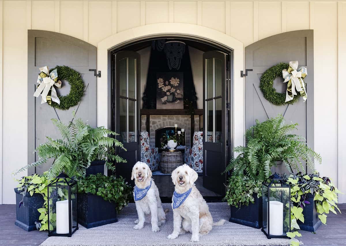 French Country Porch with dogs