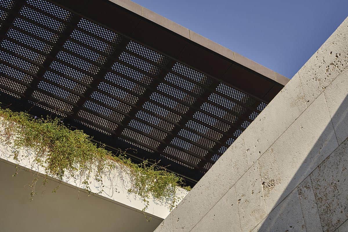 A green roof featuring various plants thriving on the surface of a modern building
