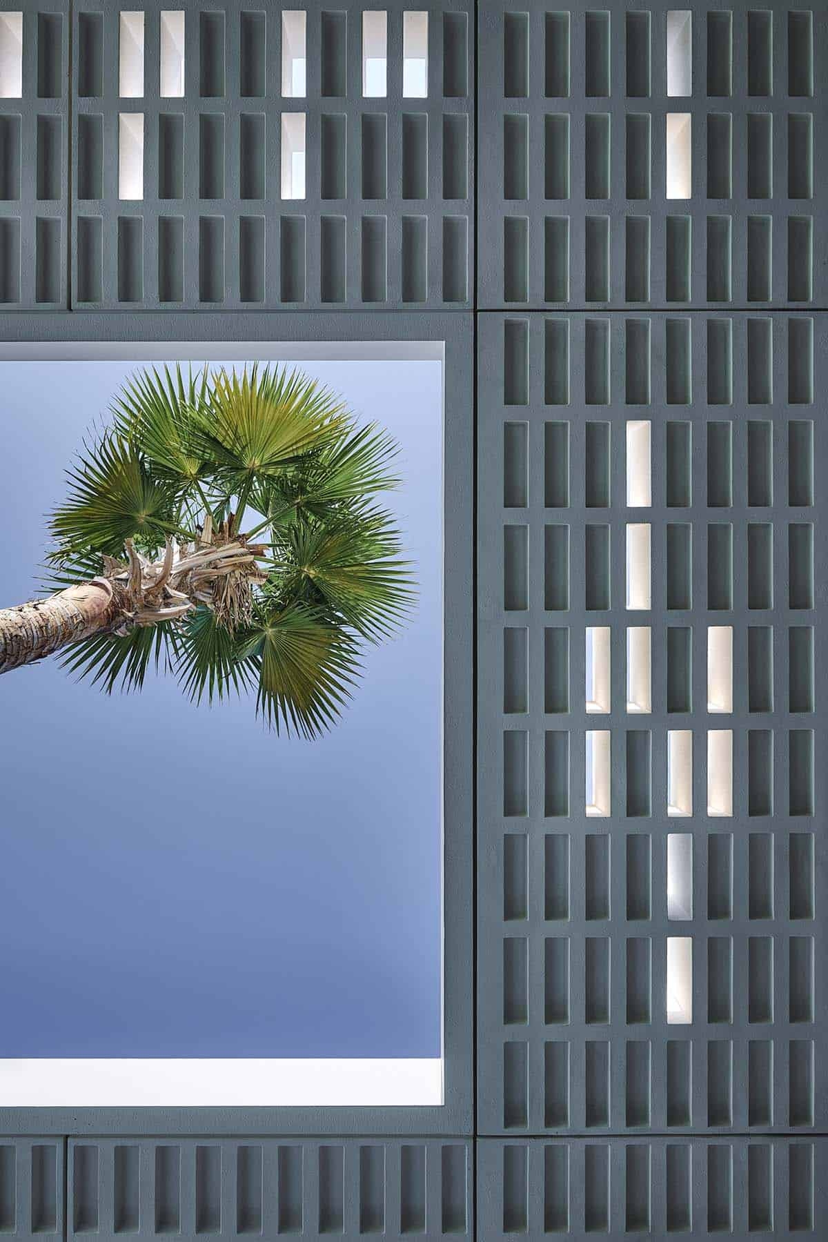 luxury villa exterior roof detail with a palm tree