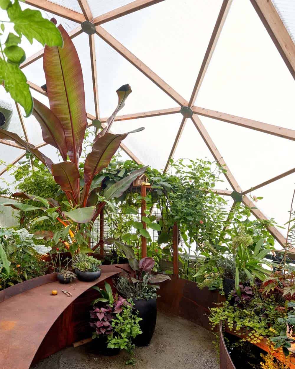 geodesic dome shelters a greenhouse