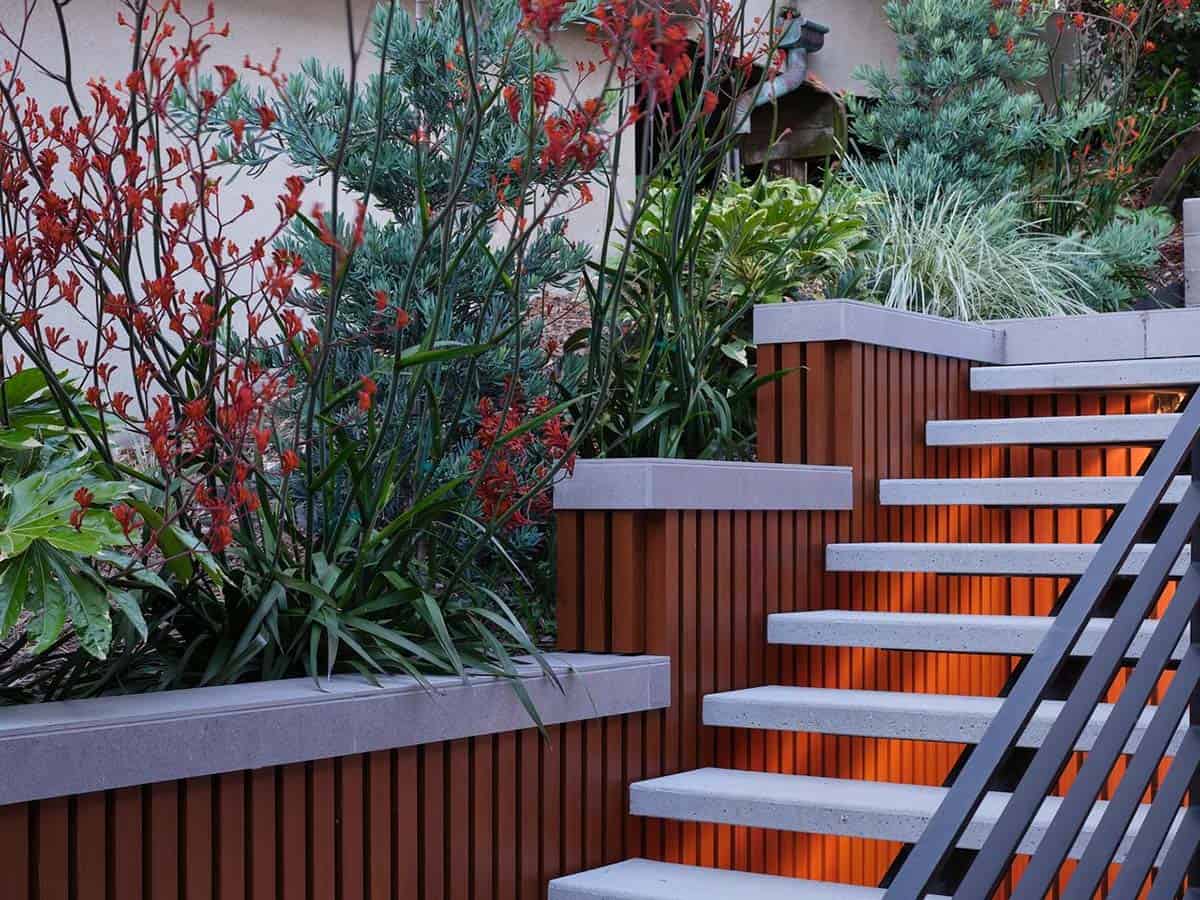 outdoor floating concrete stair detail with LED under stair lighting cedar slat wall and red kangaroo paw plants at dusk