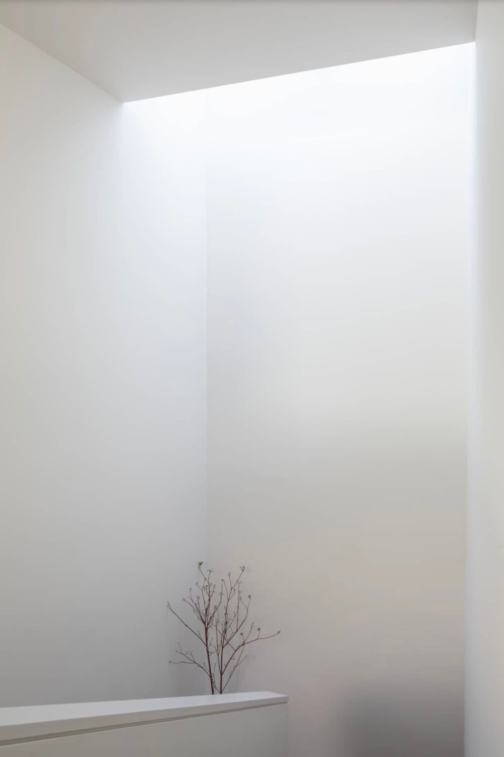 Minimalist white stairwell with narrow skylight and single bare branch arrangement