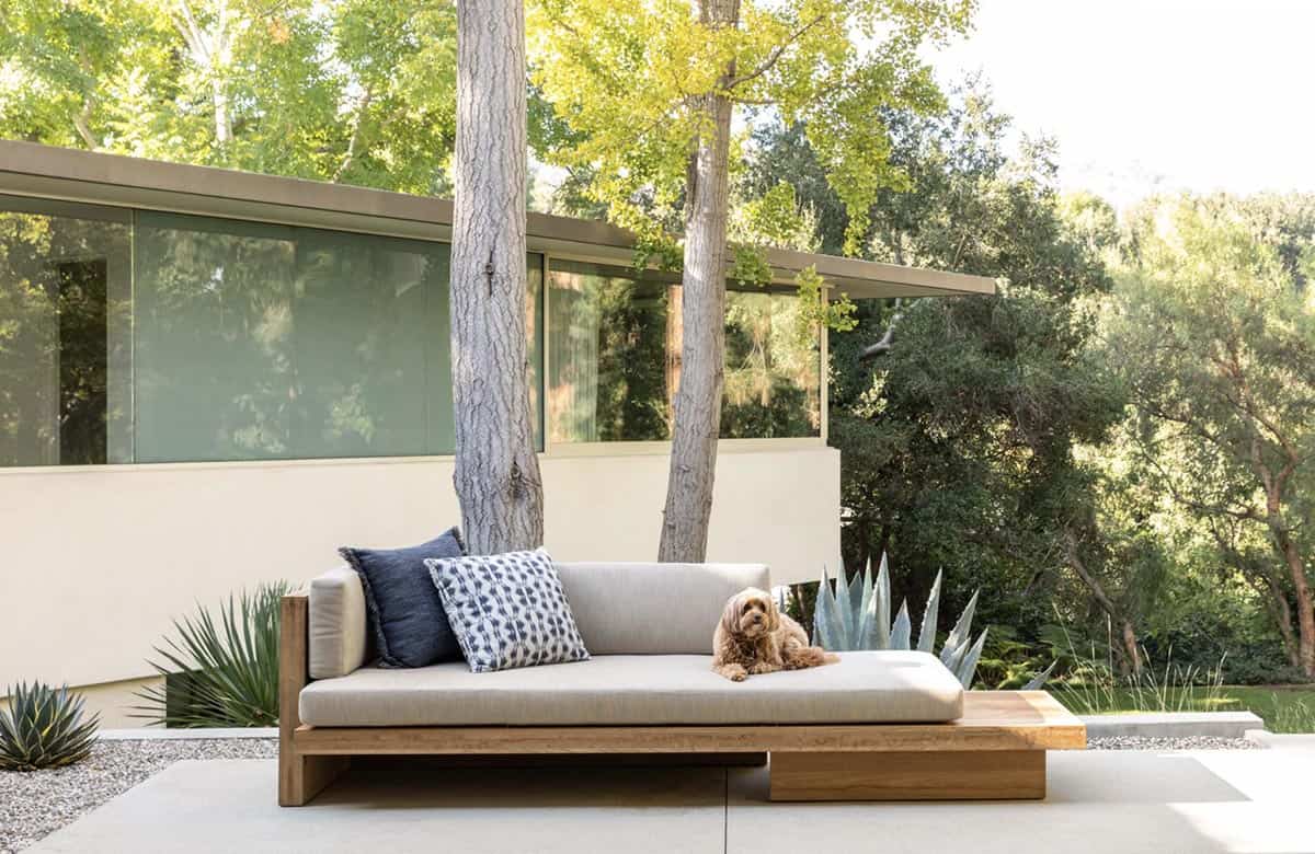 Dog sitting on a teak outdoor sofa against a mid-century modern glass wall