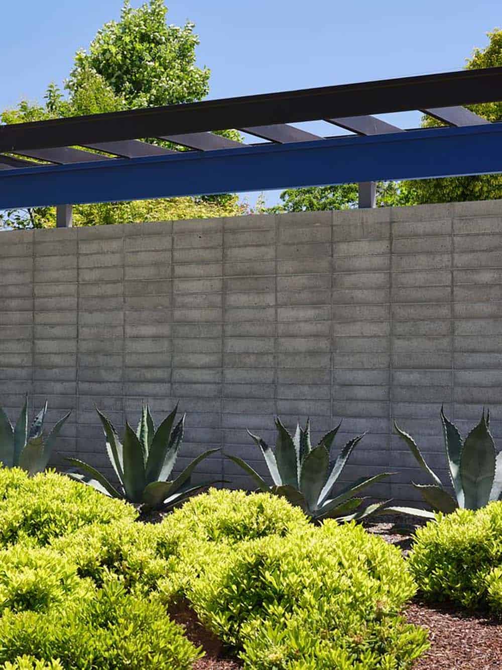 mid-century modern Eichler home exterior landscape with concrete block wall agave plants and steel pergola Sunnyvale California