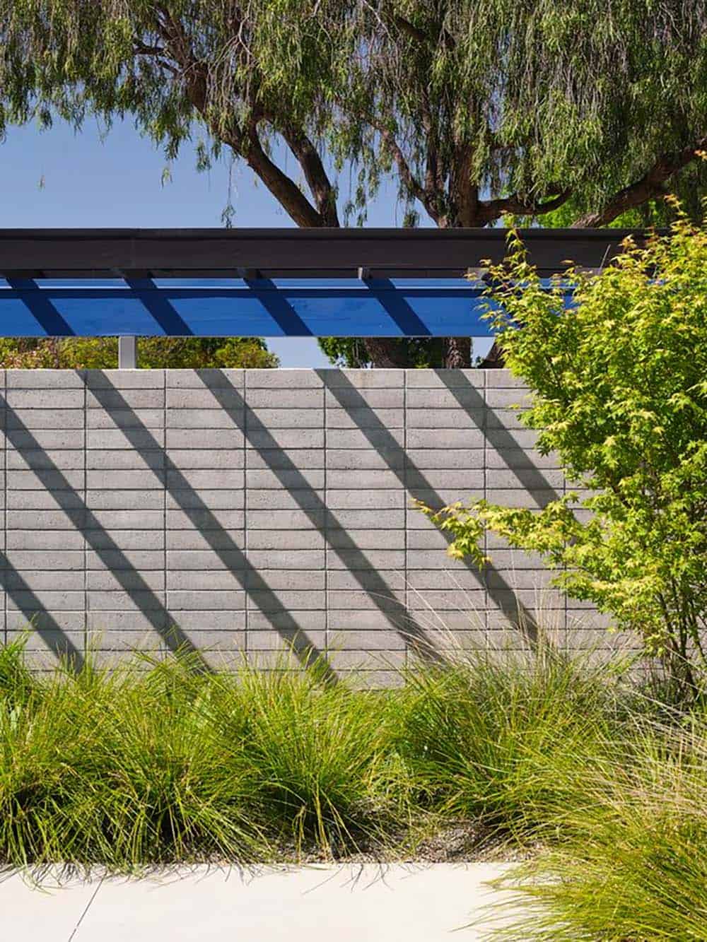 mid-century modern Eichler landscape with concrete block privacy wall blue steel pergola ornamental grasses and Japanese maple