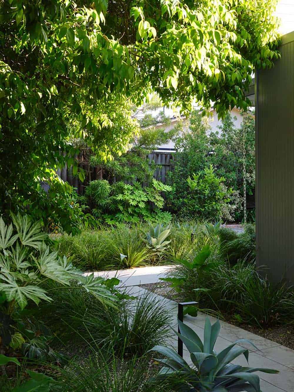 lush tropical backyard garden with agave ornamental grasses concrete stepping stones and mature tree canopy Eichler home Sunnyvale