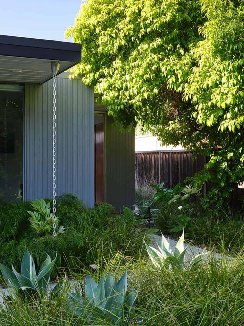 Eichler home exterior with gray board and batten siding rain chain lush garden and sliding glass door at dusk