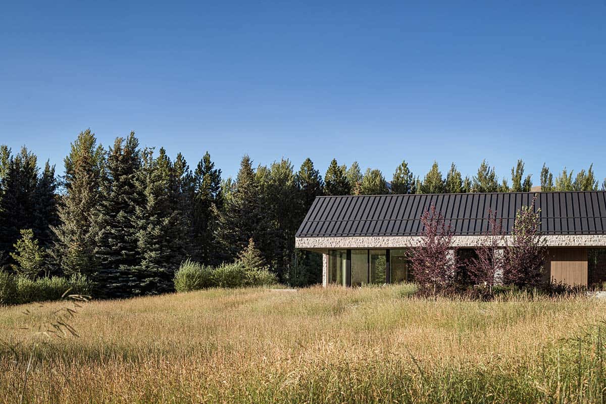 Stone and black metal roof wing of estate partially visible through wild meadow grass and pine forest