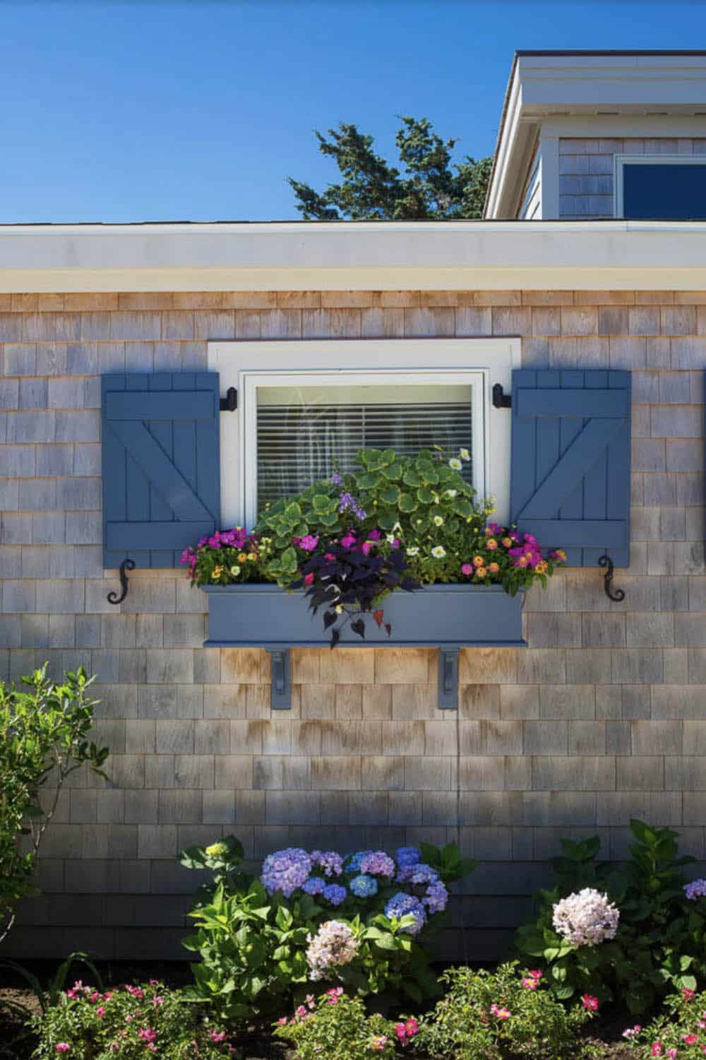 Close-up of blue window shutter and overflowing flower box on cedar shingle cottage exterior