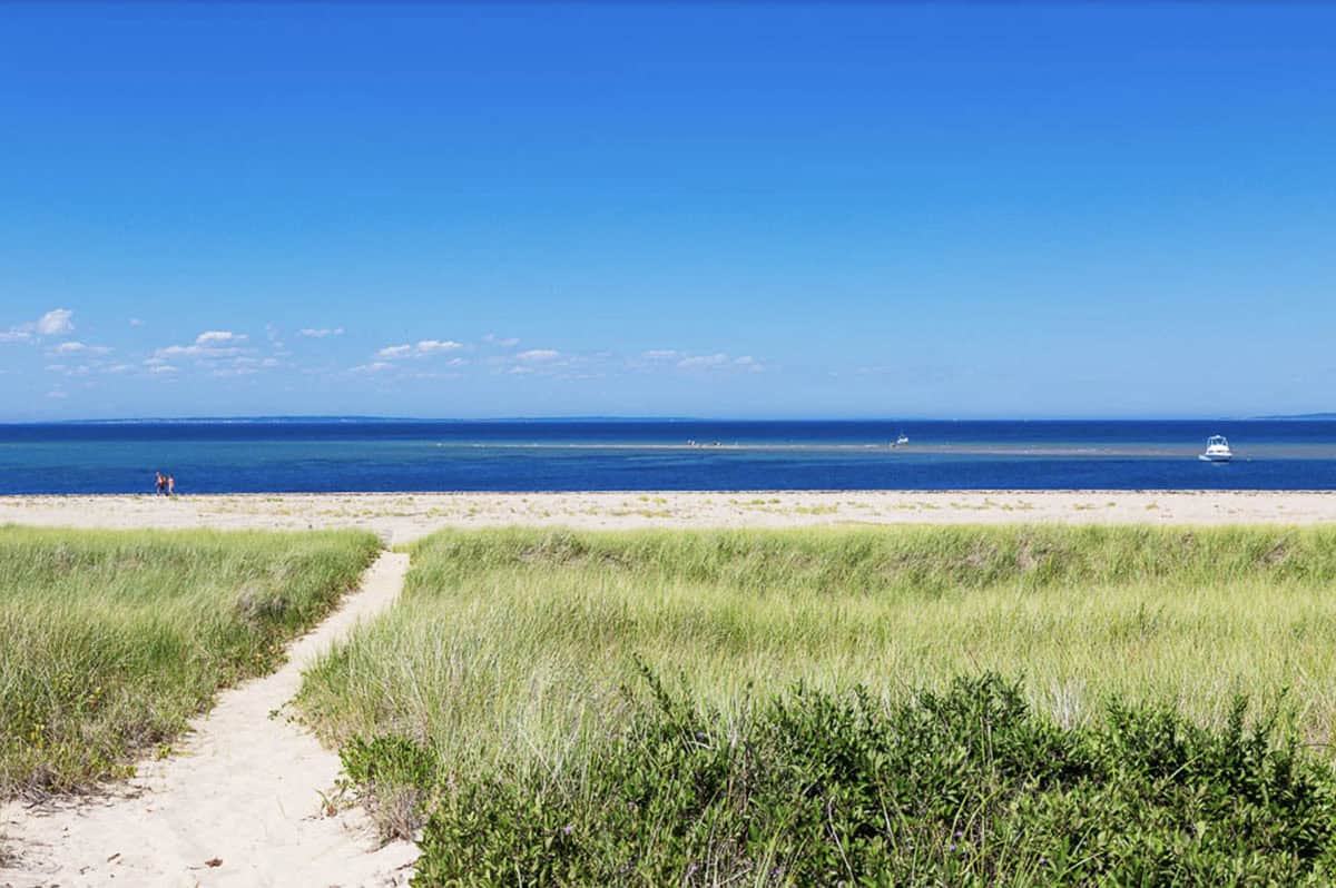 Sandy dune path through beach grass leading to open ocean on a clear summer day in Massachusetts