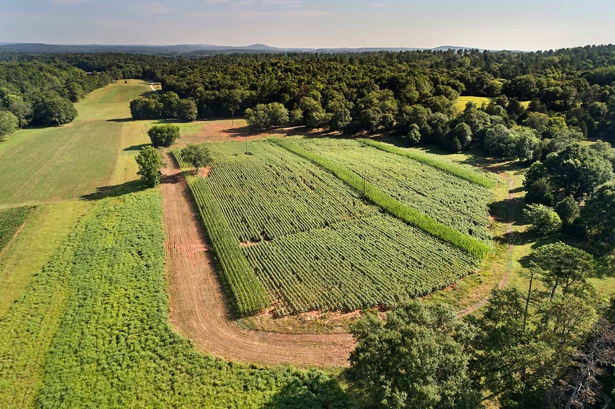 Aerial view of contemporary home tucked into wooded riverfront property
