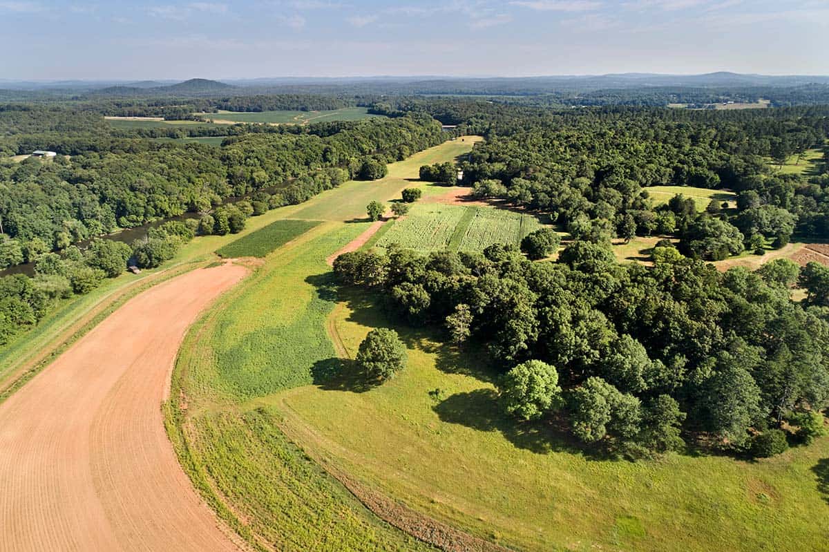 Aerial view of contemporary home tucked into wooded riverfront property