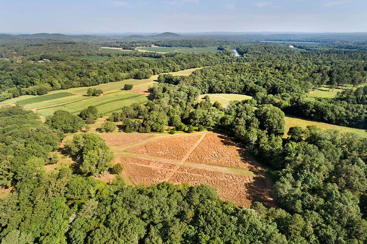 Aerial view of contemporary home tucked into wooded riverfront property