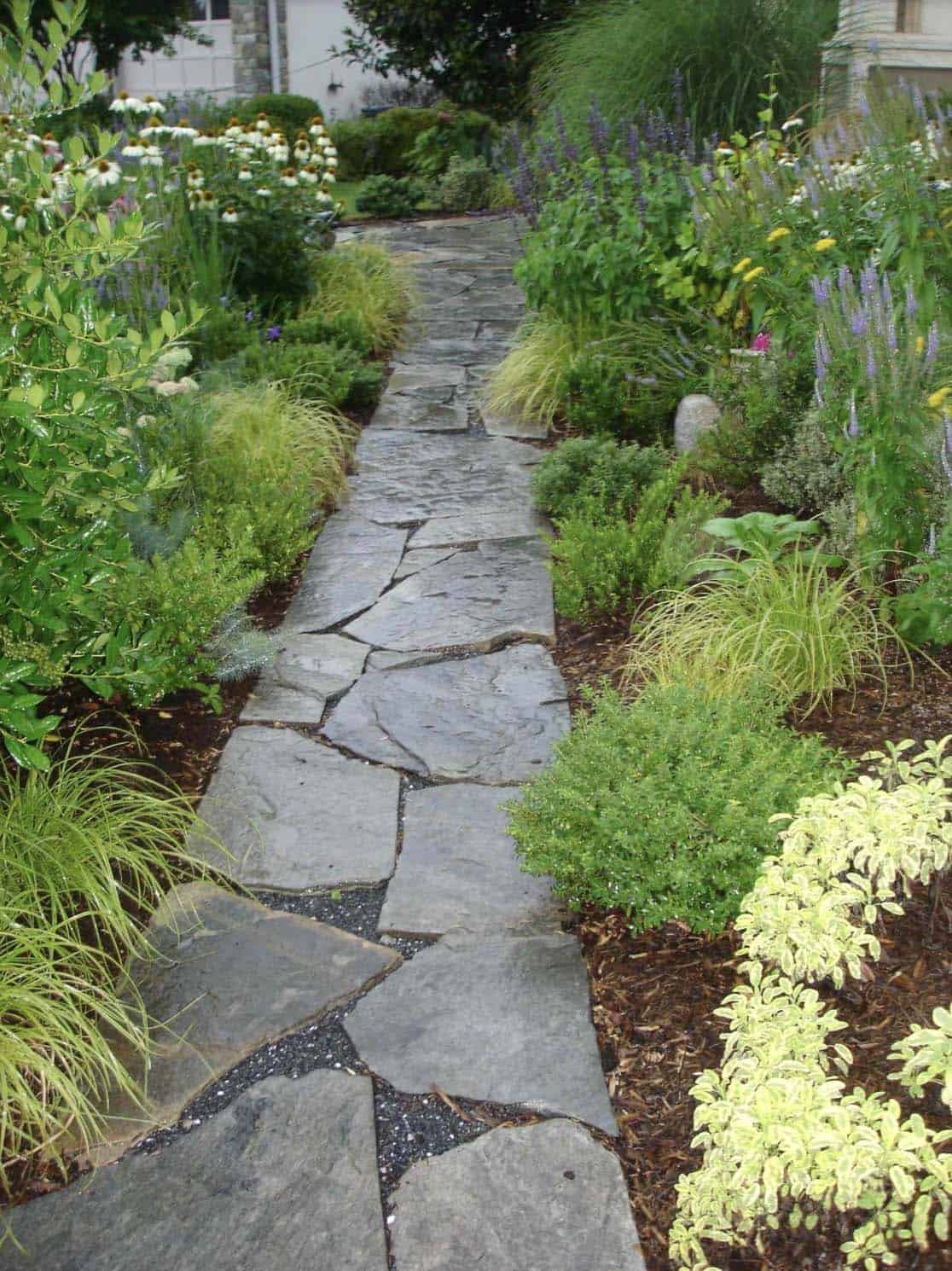 Narrow garden beds flanking flagstone pathway with ornamental grasses, echinacea, salvia, and herbs in Washington DC