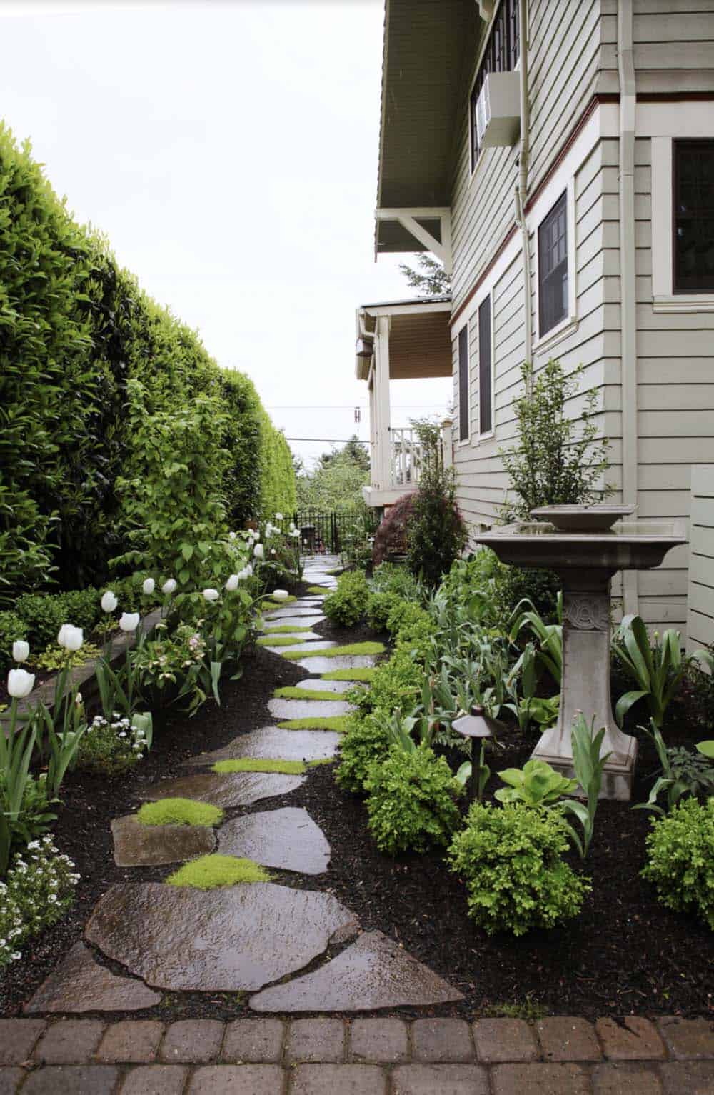 Narrow side yard garden with flagstone path, laurel hedge, white tulips, boxwood, and birdbath in Portland Oregon