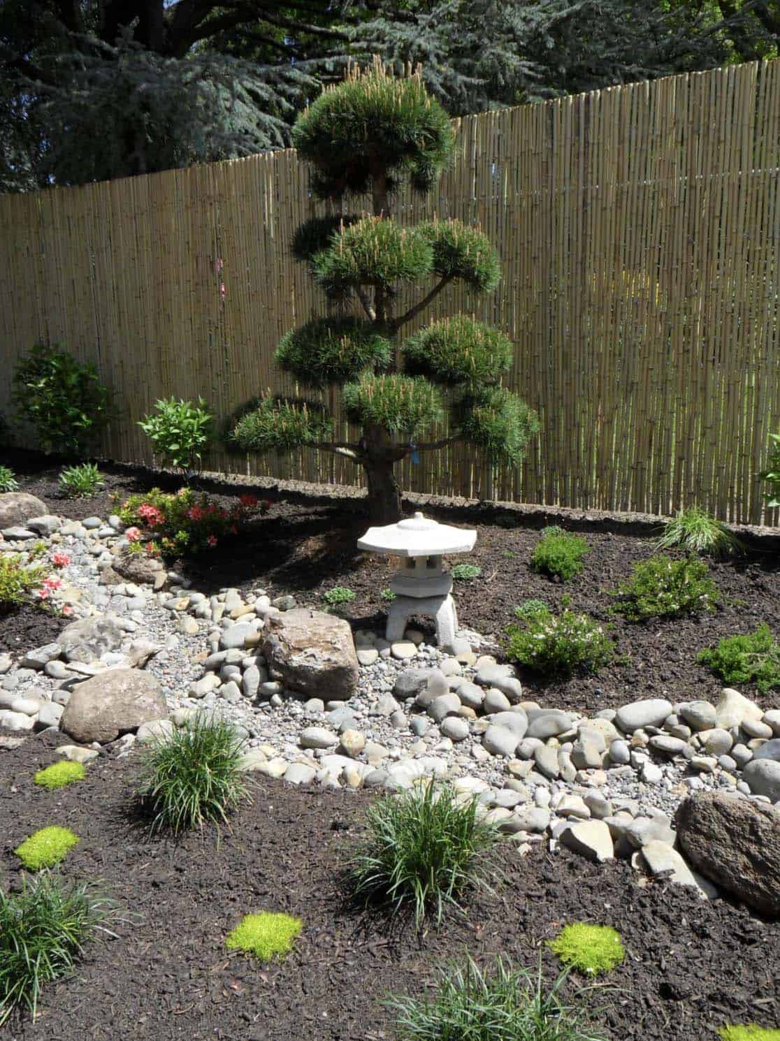 Narrow Japanese garden with cloud-pruned pine, stone lantern, dry stream, river rocks, and bamboo fence in Portland Oregon