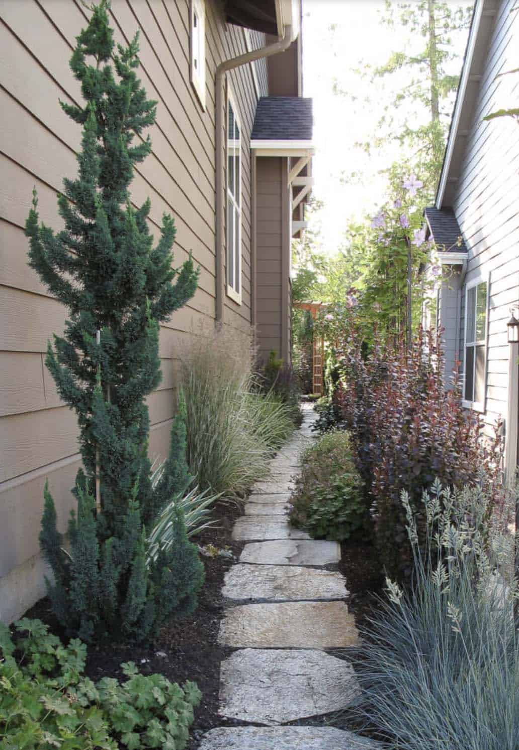 Narrow side yard garden path with irregular stone pavers, a tall columnar evergreen, ornamental grasses, and purple-leafed shrubs between two houses
