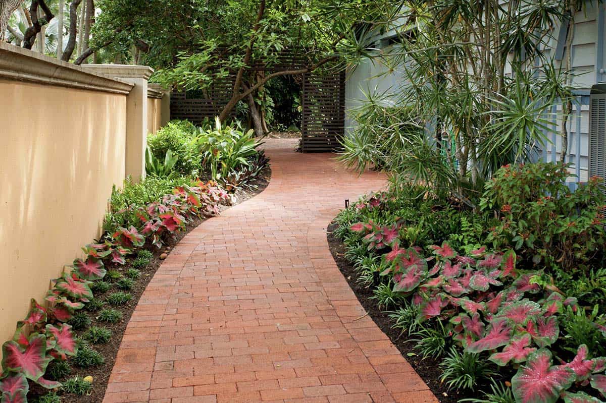 Curved brick garden path flanked by narrow tropical beds with colorful caladiums, palms, and lush greenery