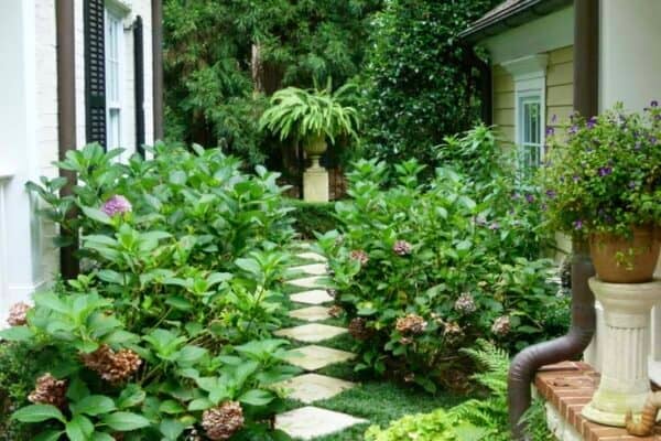 featured posts image