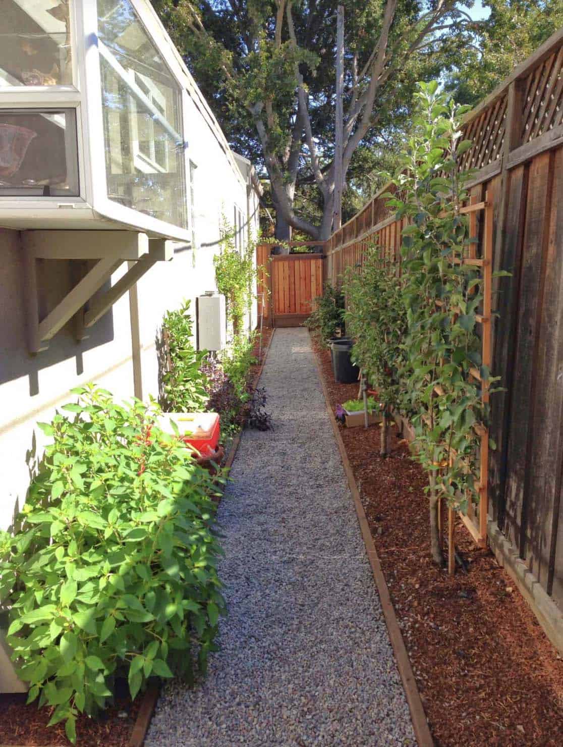 Narrow kitchen garden path with gravel walkway, espalier fruit trees on a fence trellis, and vegetable beds beside a house