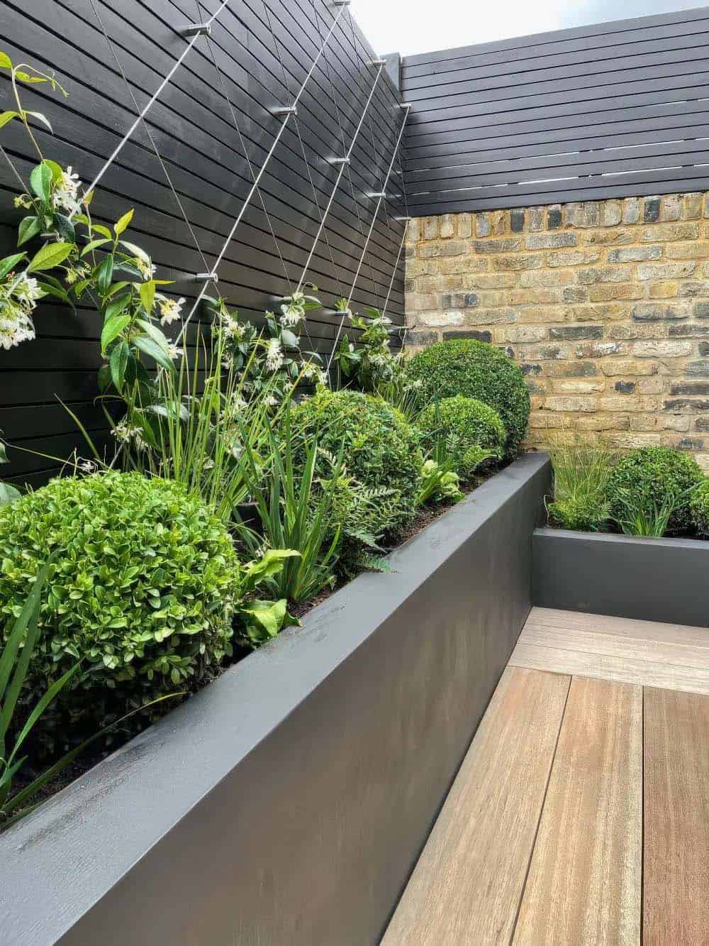 A narrow raised garden bed with clipped boxwood spheres, ornamental grasses, and climbing plants against a dark slatted fence and brick wall, beside a wood deck.