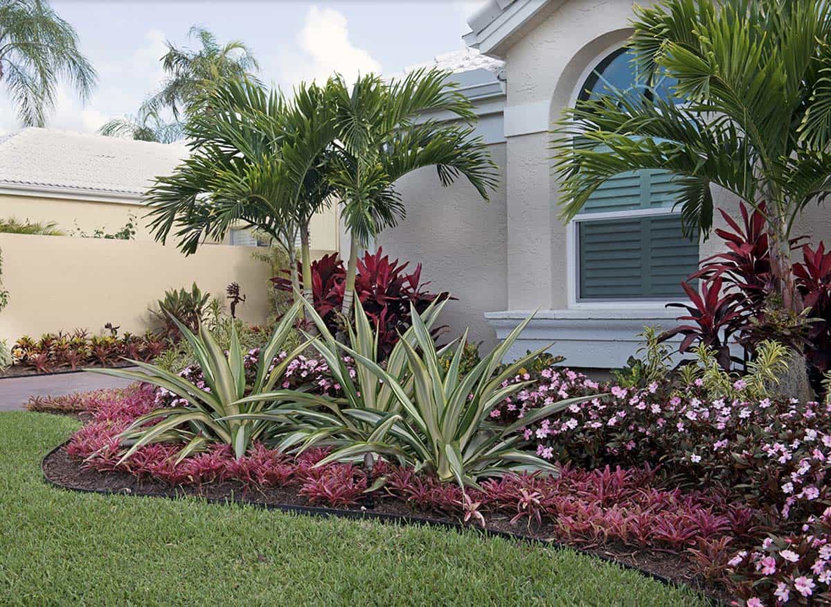 Tropical front yard with palm trees, variegated agave, bromeliads, and pink impatiens border