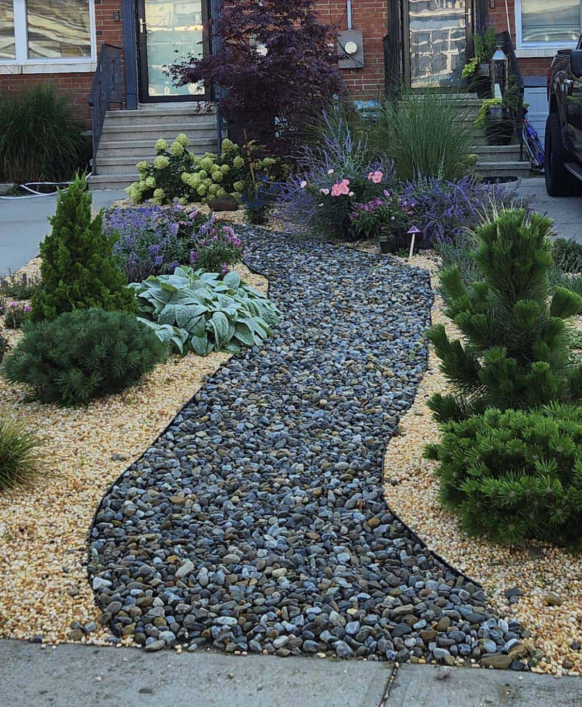 No-lawn front yard with gravel path, dwarf conifers, hostas, hydrangeas, and purple perennials