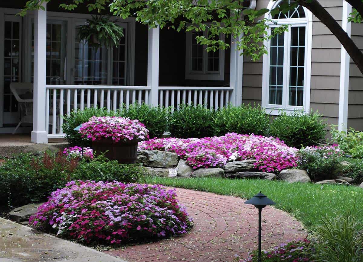 Small front yard with mixed impatiens, brick pathway, stone border, and boxwood foundation plantings