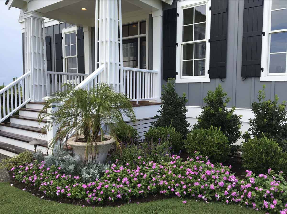 Small front yard foundation border with pink vinca, boxwood shrubs, potted palm, and silver dusty miller