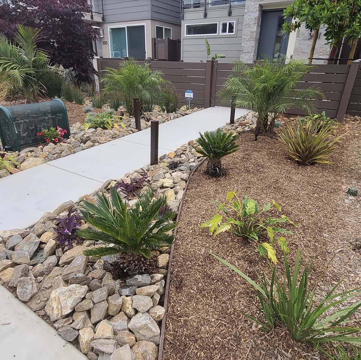 Drought-tolerant front yard with sago palms, pygmy date palms, rock borders, and bark mulch in Pacific Beach