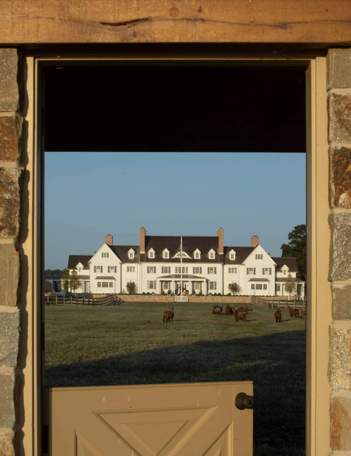 View of white colonial manor house framed through open Dutch door of stone barn, with alpacas grazing on the lawn
