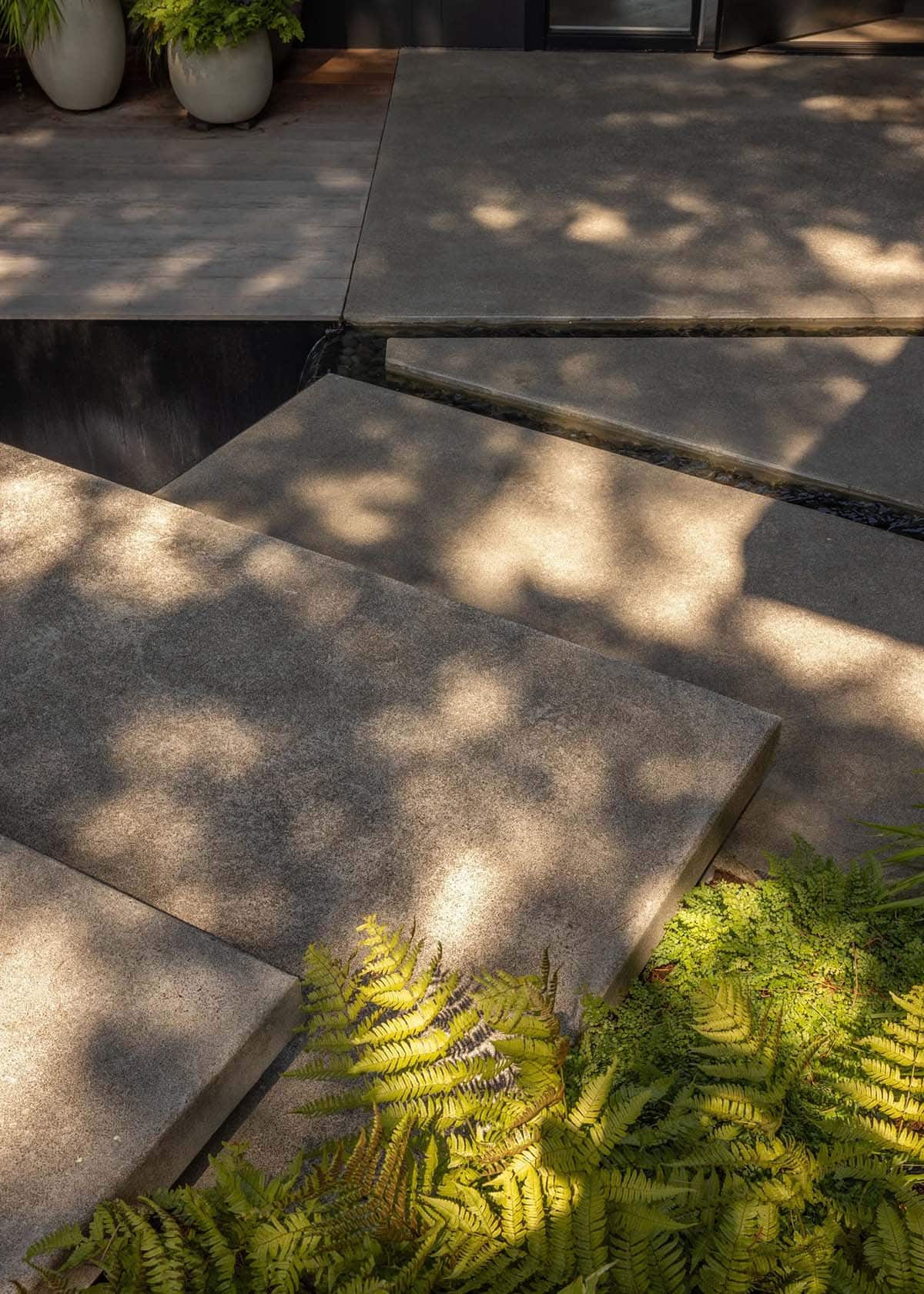 Detail of concrete entry pavers with ferns and water channel at mid-century modern home