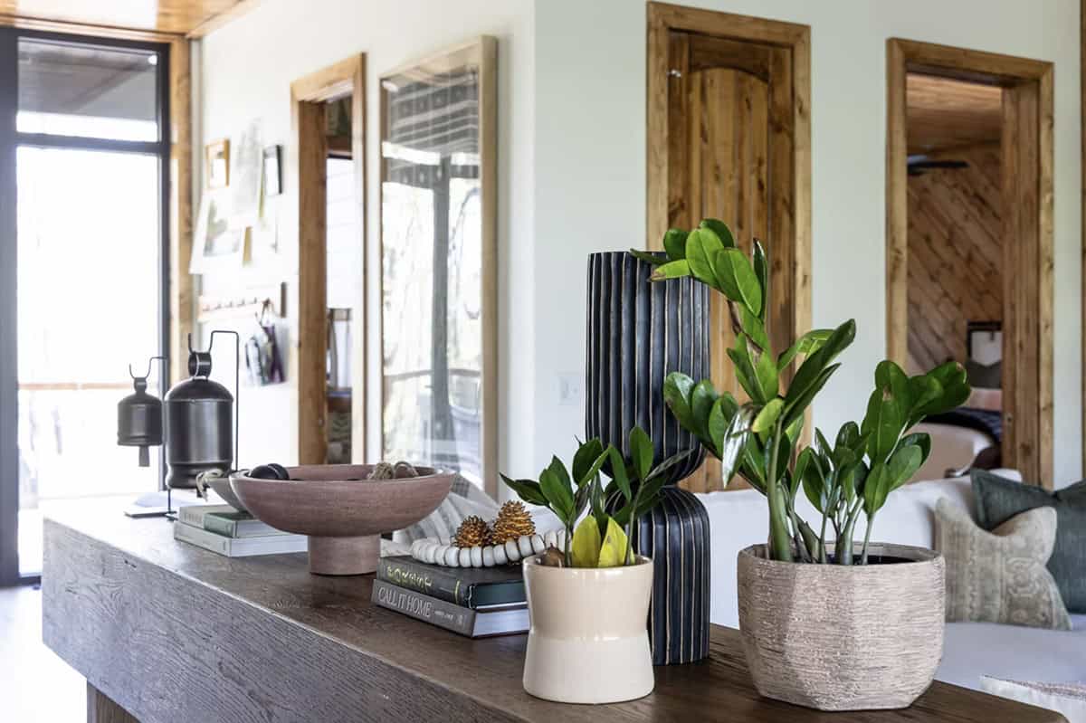 Console table vignette with black ribbed vase, potted ZZ plant, ceramic dish, and stacked books