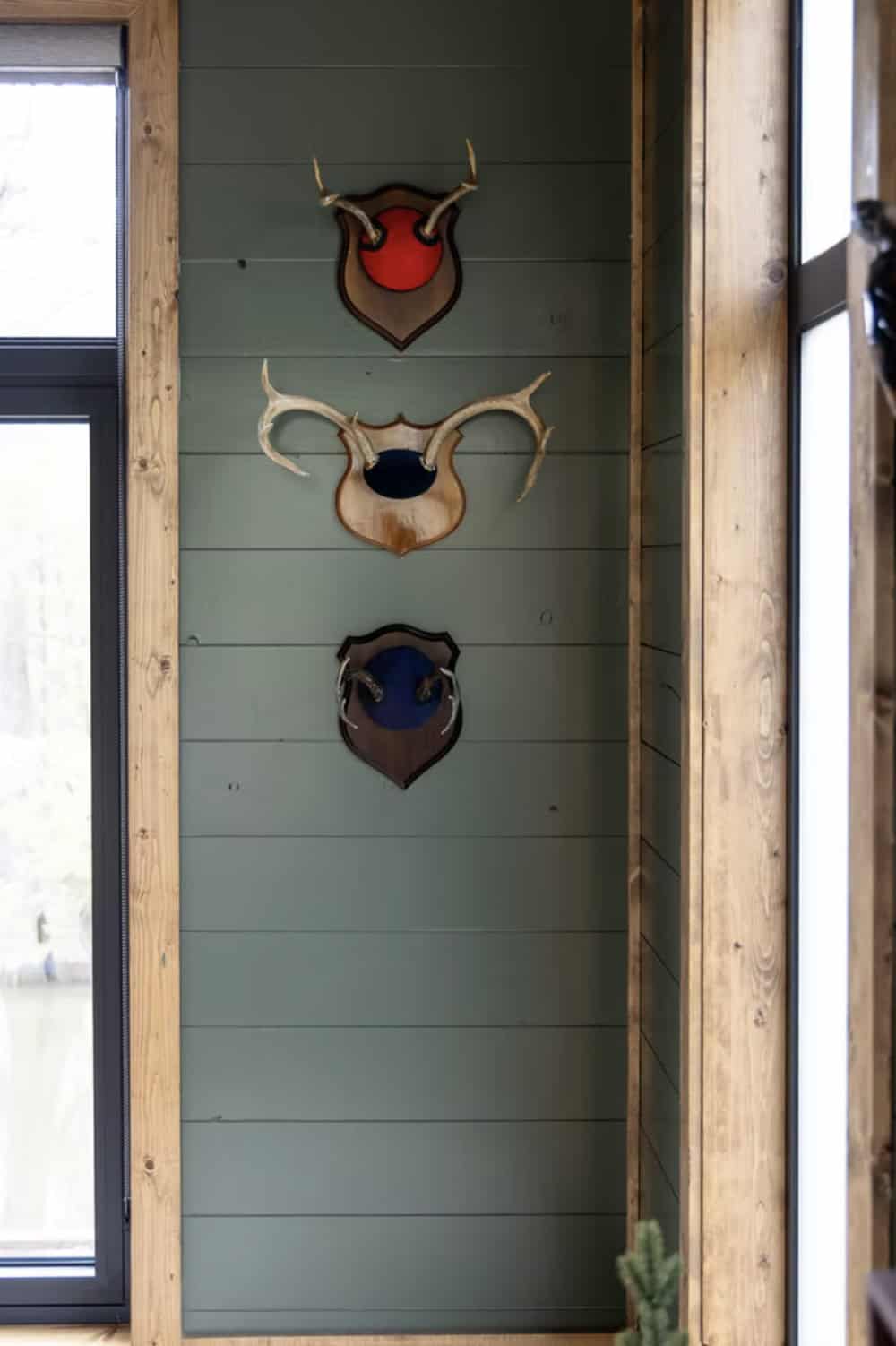 Three antler mounts on painted shields displayed vertically on dark green shiplap wall
