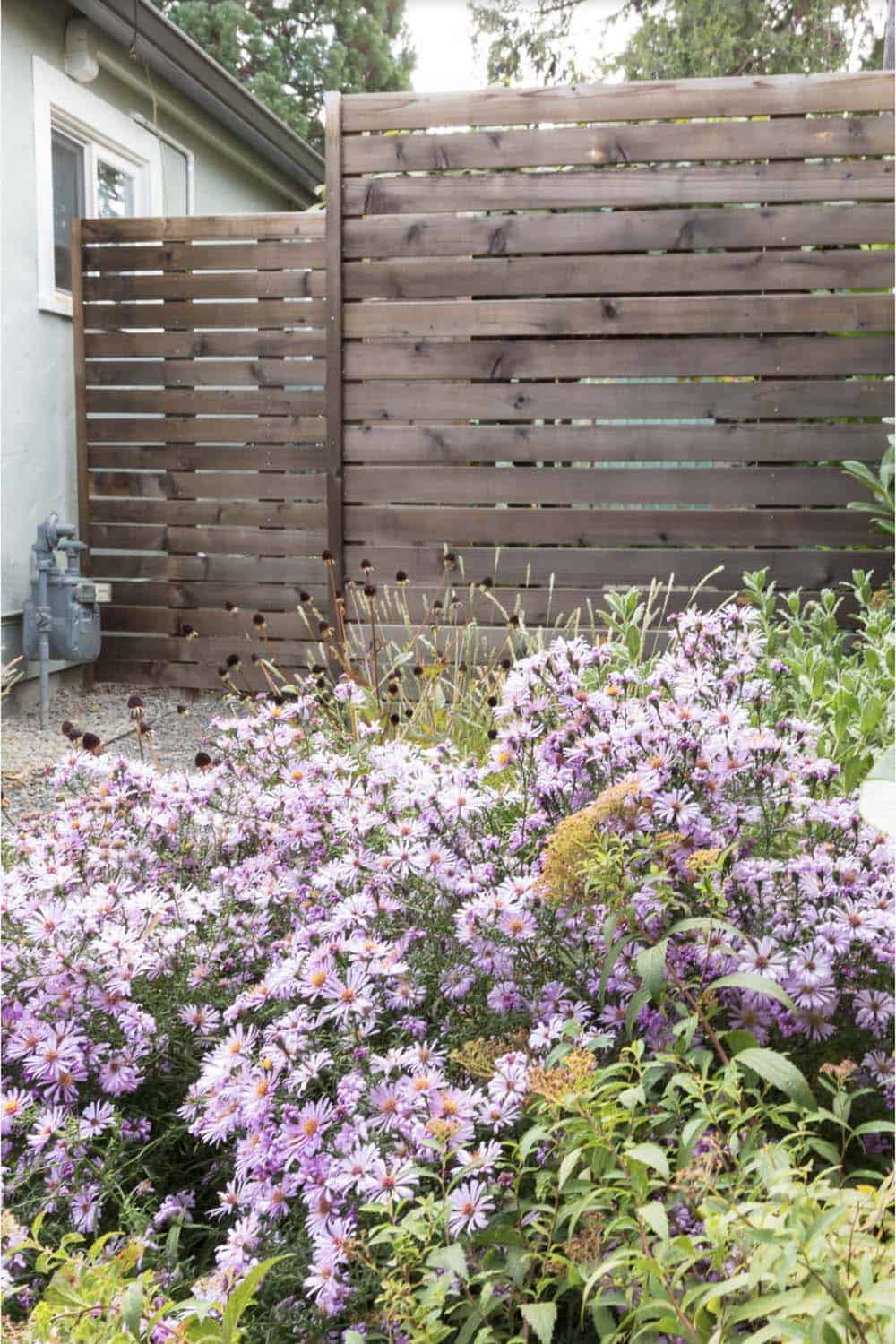 Tall cedar privacy screens blocking views