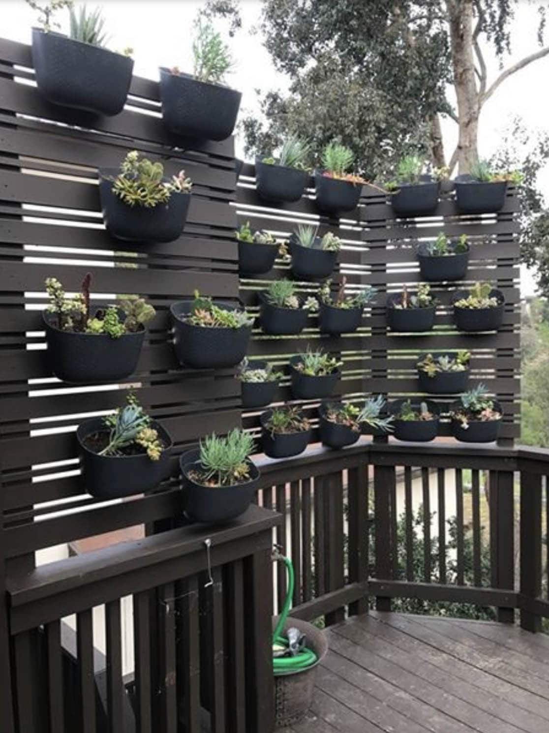 Exterior plant wall privacy screen