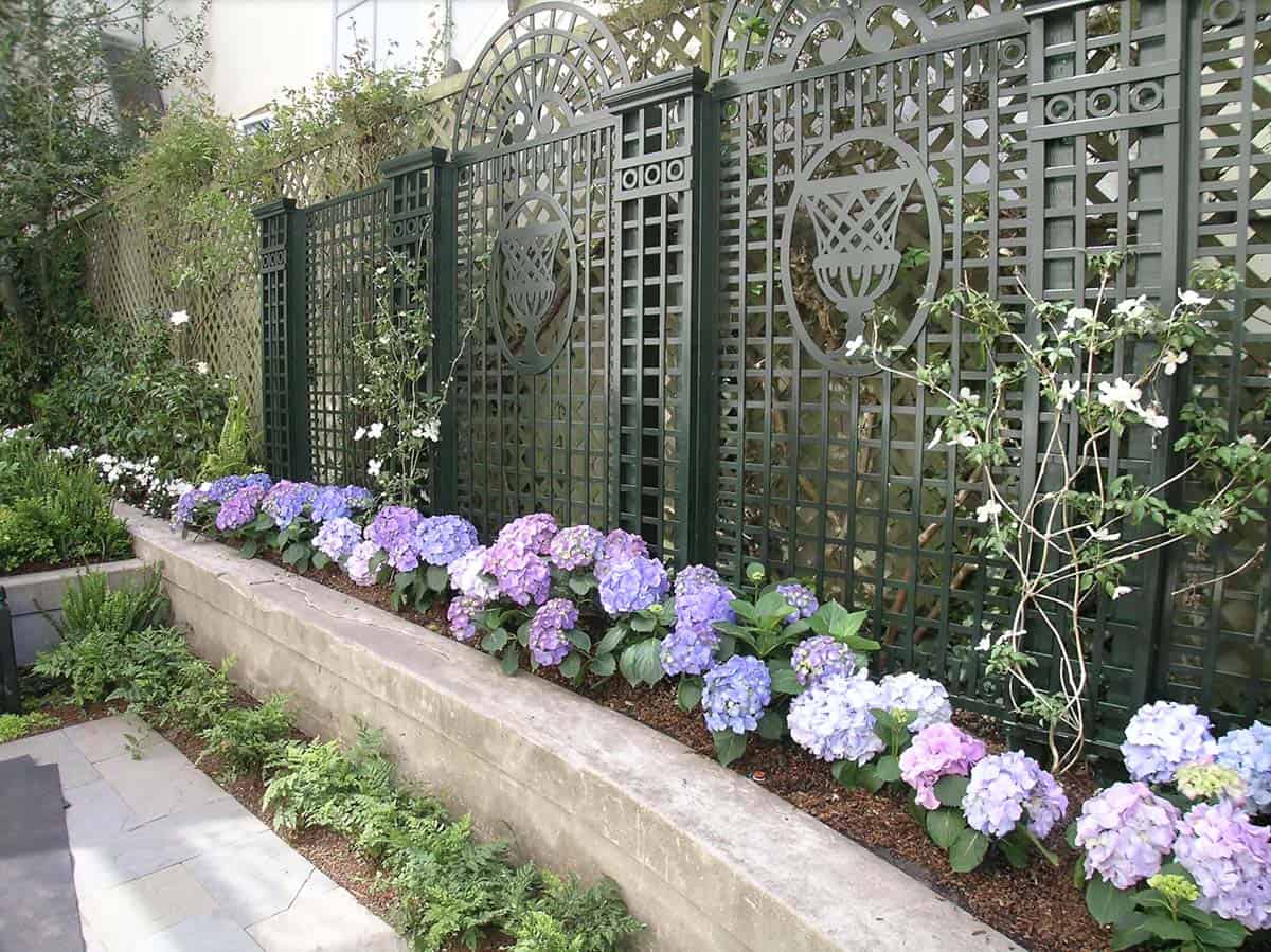 Decorative dark green trellis privacy screen with hydrangeas along a garden wall