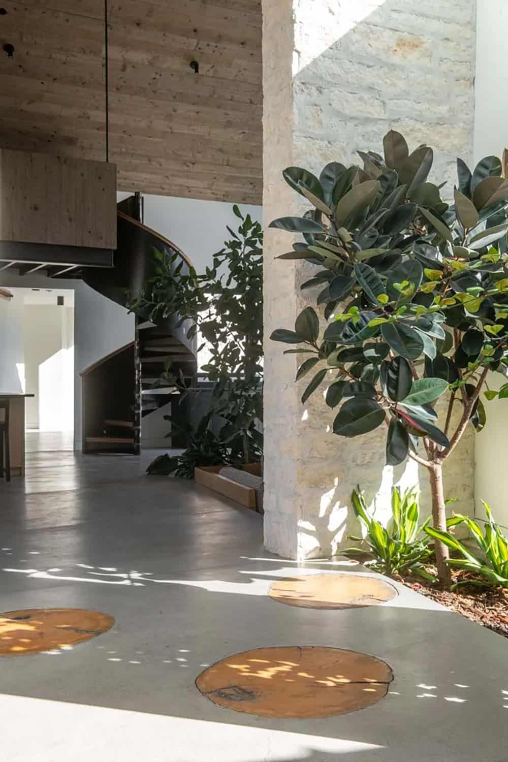 Interior atrium with rubber tree, live-edge floor inlays, stone columns, and spiral staircase beyond