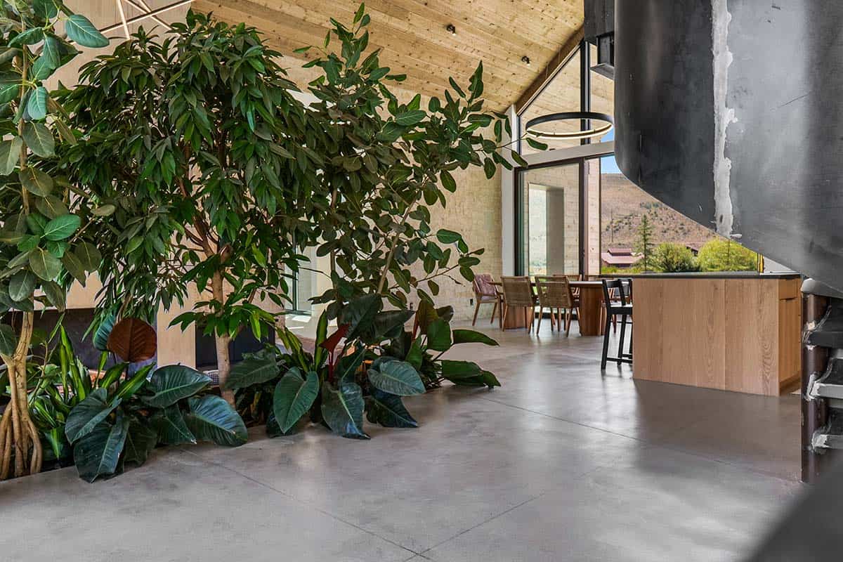 Indoor atrium with towering tropical trees, concrete floors, and mountain views through glass walls