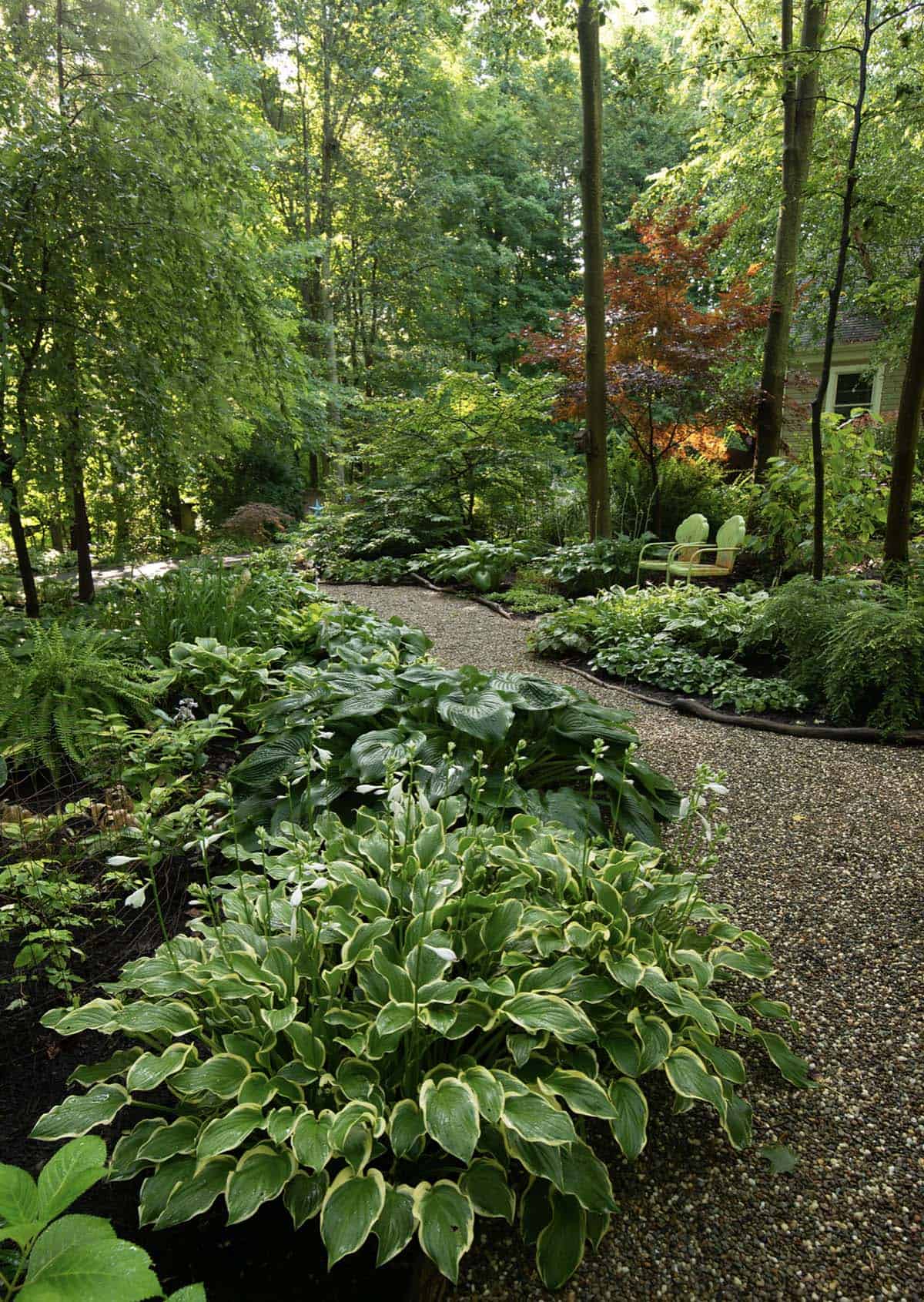 A winding gravel path through a woodland shade garden, lined with hostas, ferns, and Japanese maples, leading to a seating area with vintage green chairs