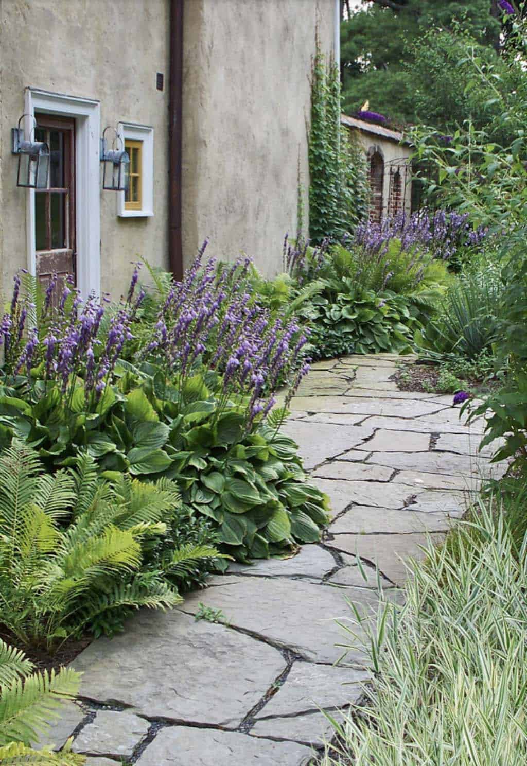 A flagstone path along the side of a stucco house, bordered by hostas, ferns, and spikes of purple salvia blooming in a shade garden