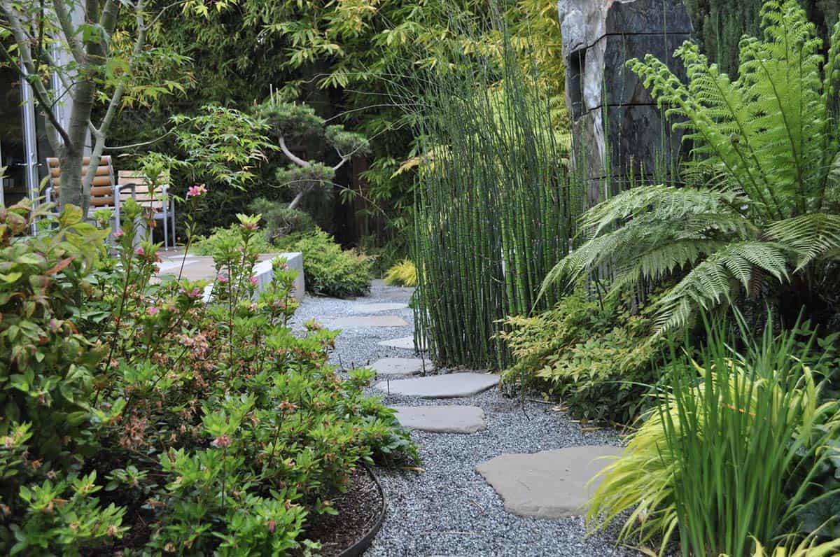 A gravel and stepping-stone path through an Asian-inspired shade garden in Palo Alto, California, with horsetail, tree ferns, azaleas, and Japanese maples leading to a modern outdoor seating area
