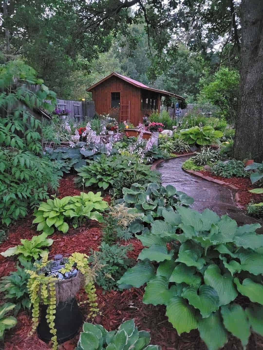 A lush shade garden filled with dozens of hosta varieties in bloom, with a winding brick path leading to a rustic red garden shed beneath a tree canopy.