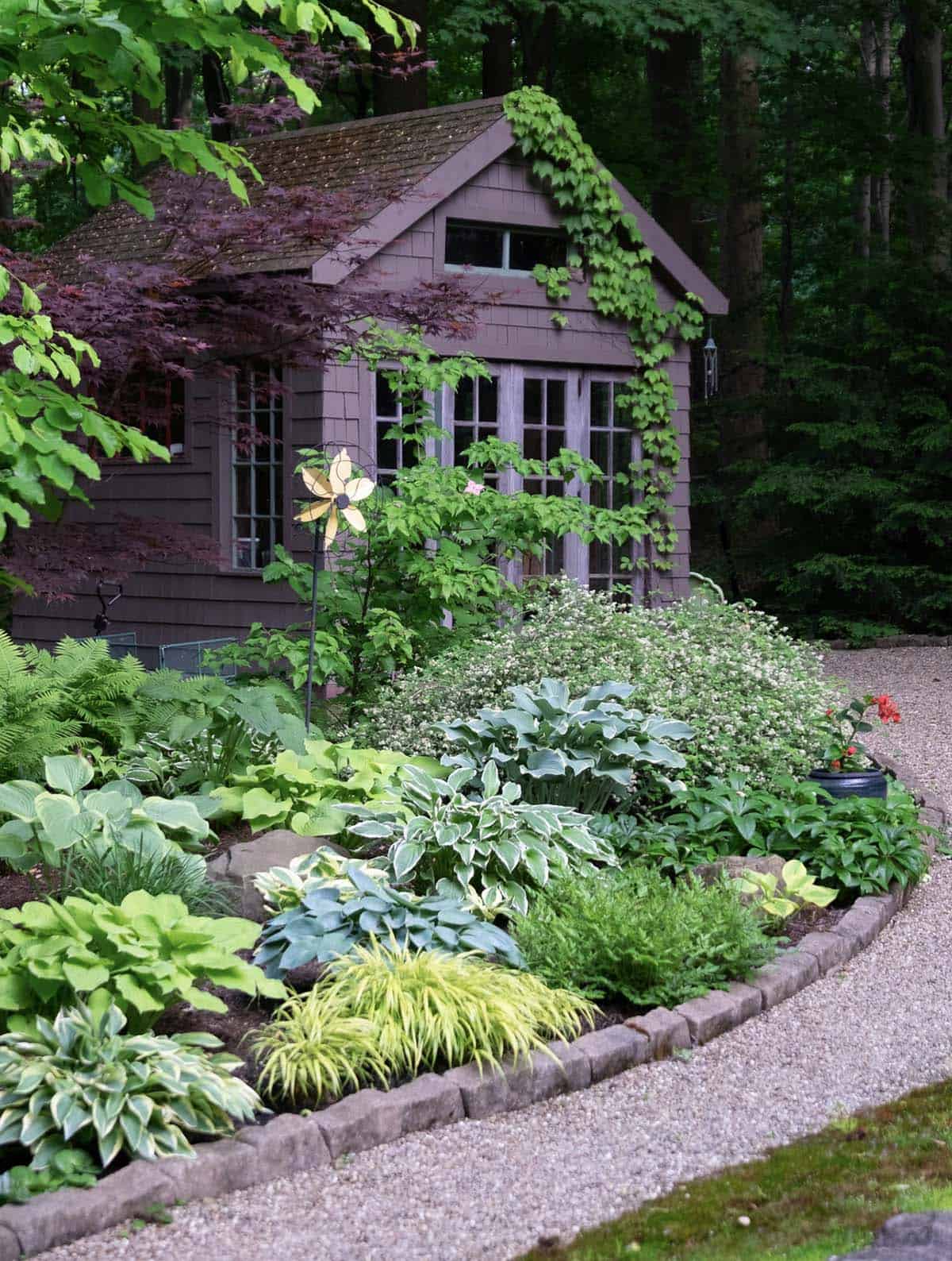 A curved shade garden bed edged in brick, filled with mixed hostas and Japanese forest grass, in front of a vine-covered garden shed surrounded by trees