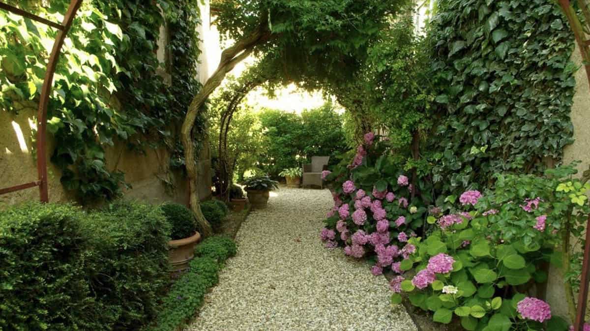 A gravel garden corridor with ivy-covered arches and walls, blooming pink hydrangeas, clipped boxwood, and a seating area at the end, in a shaded European-style courtyard garden